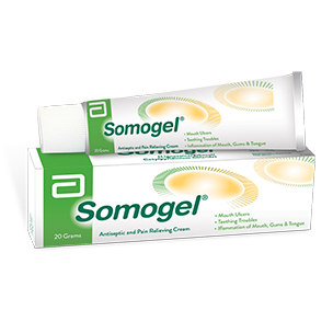 Somogel Oral Gel 20g